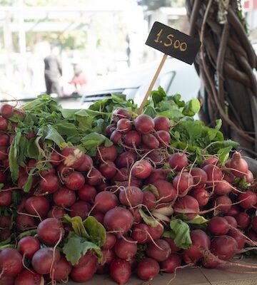 Rabanitos banner promo